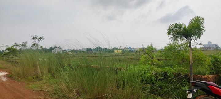 Patrapada Main Image 1