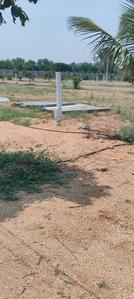 Agricultural Land