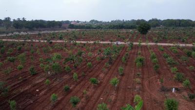 Residential Plot