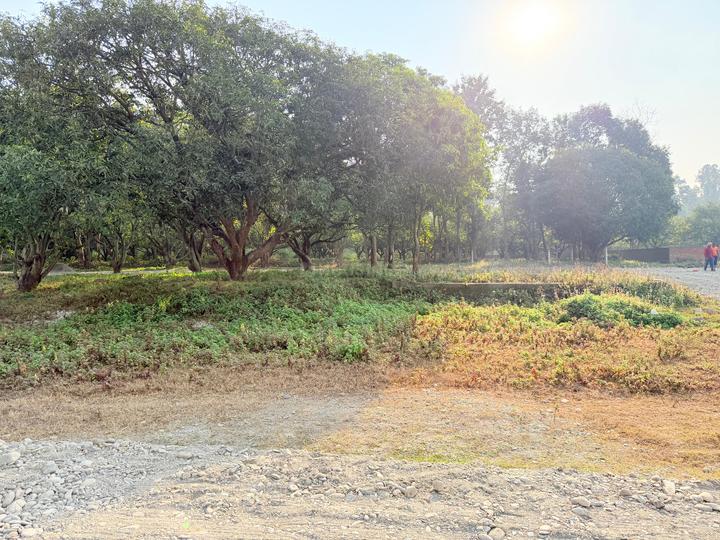 Dharmawala Main Image 1