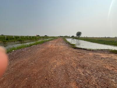 Residential Plot