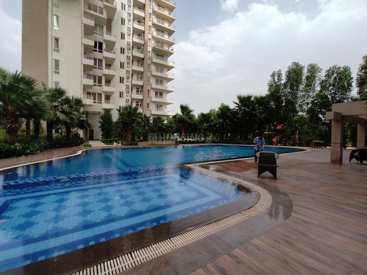 3 BHK Flat for rent in Sector 104, Gurgaon 2450 Sqft Property ID