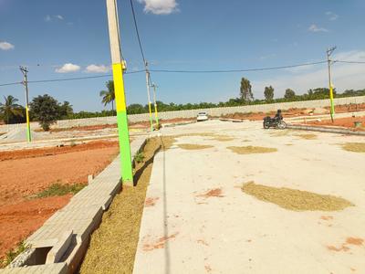 Residential Plot