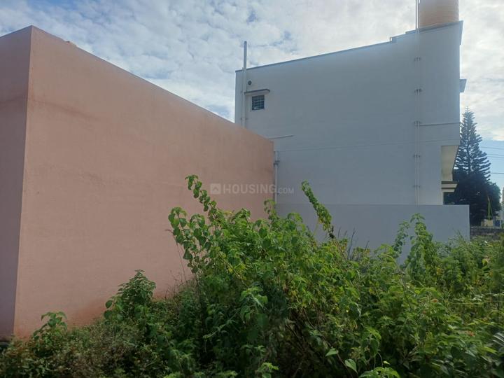 Thathaguni Main Image 1