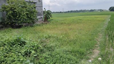 Image of 1760 Sq.ft Residential Plot / Land for sale in Chak Bhikhi, Muzaffarpur for Rs. 1700000