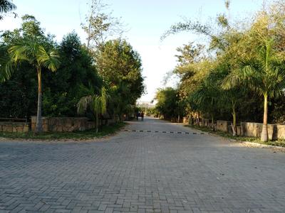 Image of 9000 Sq.ft Residential Plot / Land for sale in Natures Edge, Bavlu, Ahmedabad for Rs. 11500000