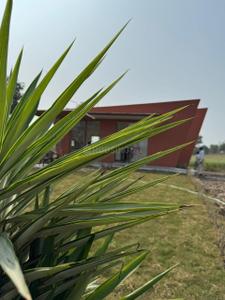 Image of 21000 Sq.ft 2 BHK Farm House for sale in Awas Nagar, Dewas for Rs. 8001000