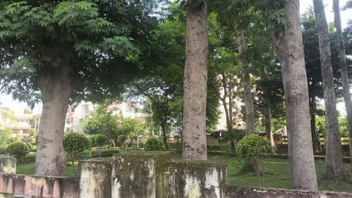 Vikalp Khand, Gomti Nagar Main Image 1