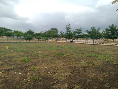 Image of 200 Sq.ft Residential Plot / Land for sale in Prakash Suradru, Rudraram, Sangareddy for Rs. 6200000