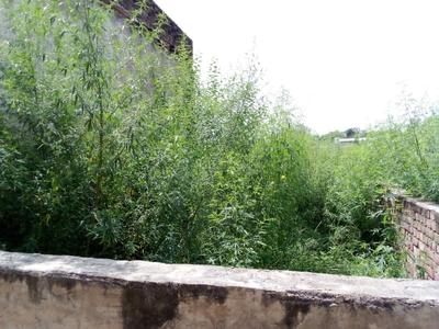 Image of 450 Sq.ft Residential Plot / Land for sale in Garhi Harsaru, Gurgaon for Rs. 2200000