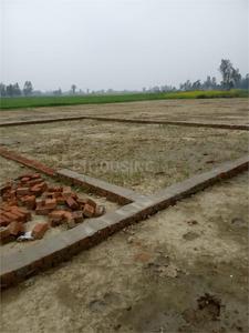 Gosaiganj Plot View 1