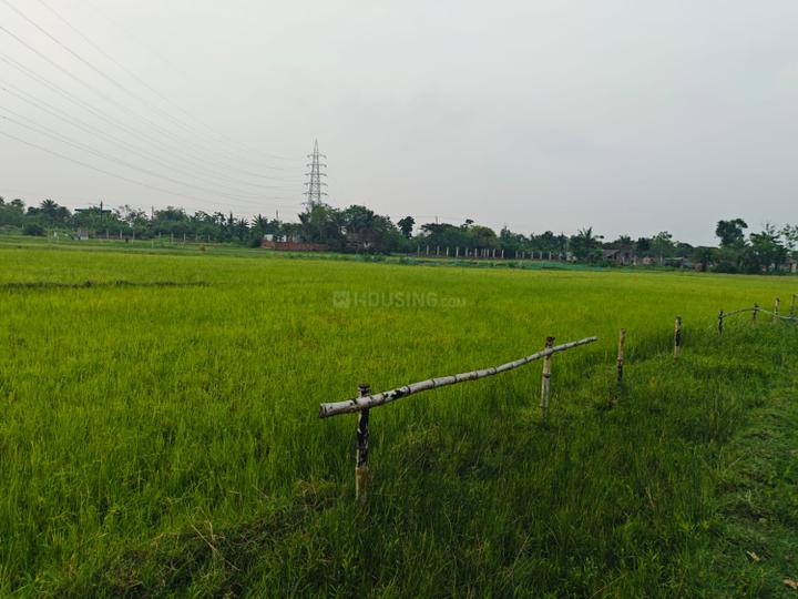 Sonarpur Main Image 1