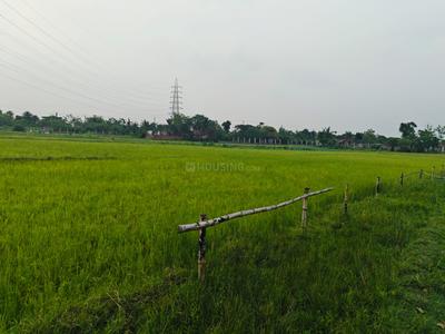Sonarpur Plot View 1