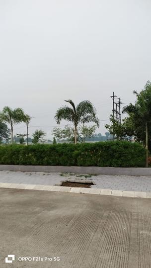 Silicon Sansaara Main Image 1