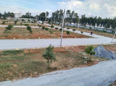 Residential Plot