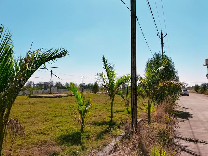 Kumhari Main Image 1