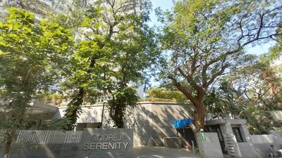 3 BHK Flat