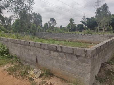 Residential Plot