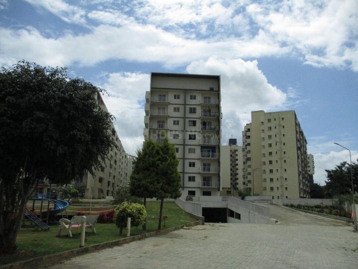 Nandhini Prakruthi Solitaire Main Image 1