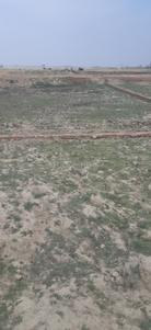 Image of 1000 Sq.ft Residential Plot / Land for sale in Maniram, Gorakhpur for Rs. 651000