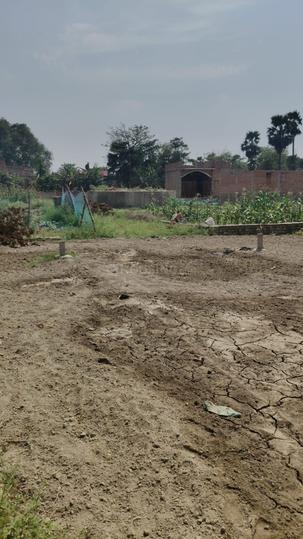 Bairiya Main Image 1