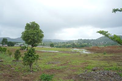 Kojoli Plot View 1