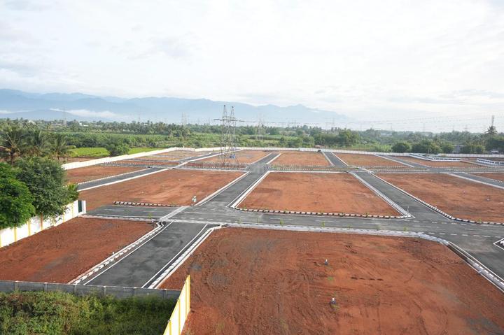 Karamadai Main Image 1