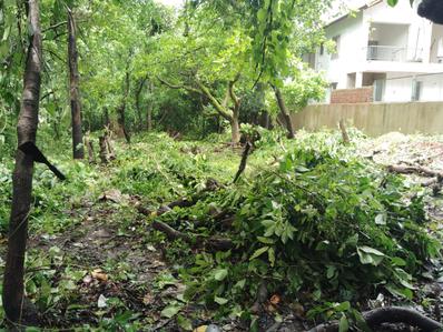 Image of 975 Sq.ft Residential Plot / Land for sale in Anjuna, Goa for Rs. 73100000