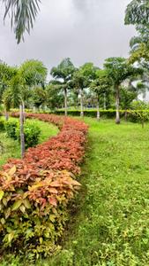 Image of 800 Sq.ft Residential Plot / Land for sale in Old Dhamtari Road, Raipur for Rs. 2400000