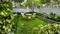 173 gaz comercial plot dharmpur Main Image 1
