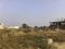 Vaidpura, Noida Extension Plot View 2