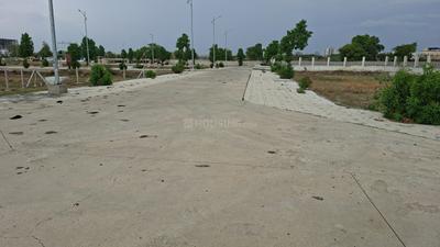 Salai More Images 1
