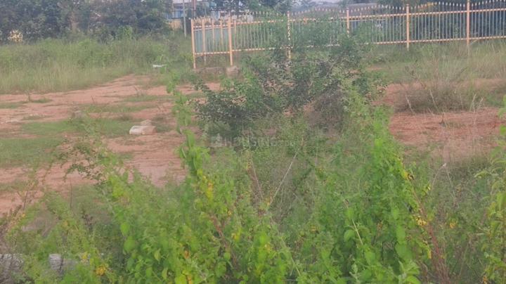 Gulur Main Image 1