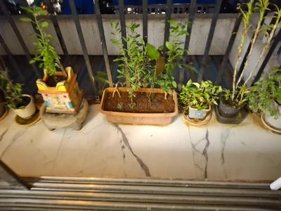 Balcony Image of 1100 Sq.ft 2.5 BHK Apartment / Flat for sale in Natu 9 Riviera Hills, Kalwa Thane for Rs. 16000000