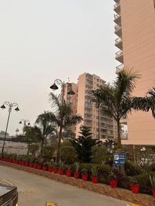 Image of 1055 Sq.ft 2 BHK Apartment / Flat for rent in Premier Urban, Sector 14, Gurgaon for Rs. 38000