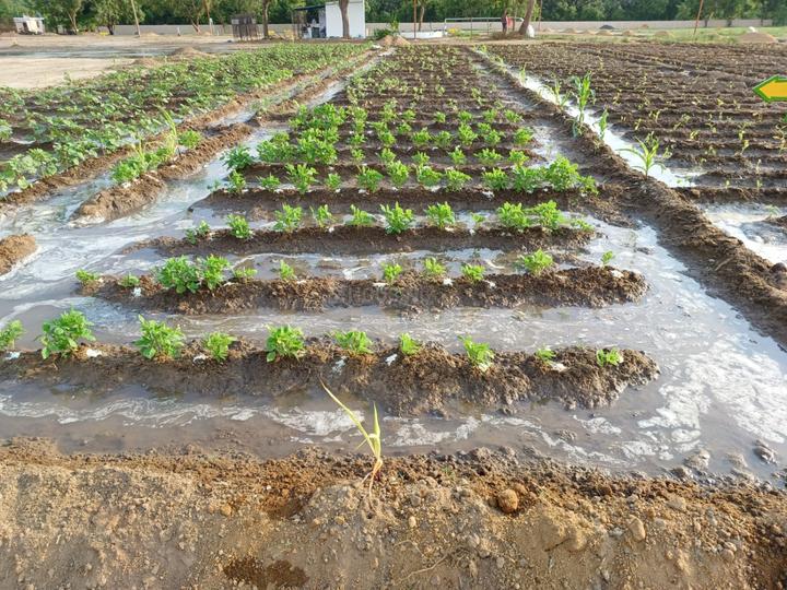 Agriyaa Garden Main Image 1