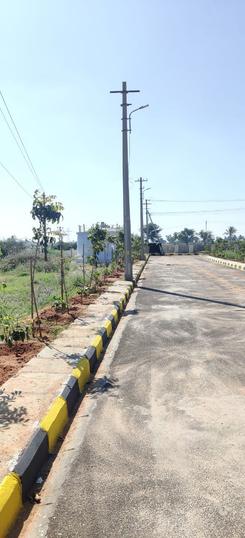 Vasudaika Cosmo Elite Main Image 1