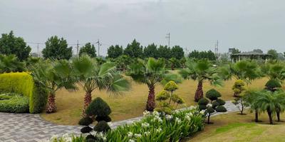 Godha Estate Premium Main Image 1