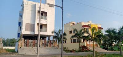 Plot View