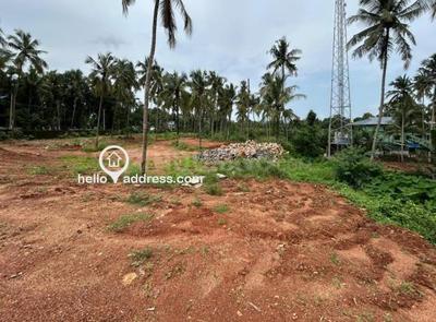 Ottapalam Plot View 1
