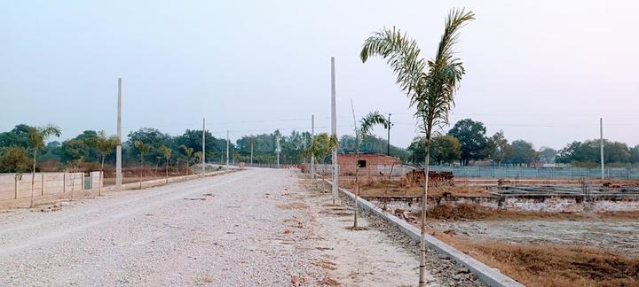 Nigoha Main Image 1