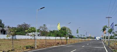 Residential Plot