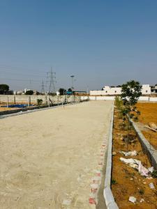 Goner Plot View 2