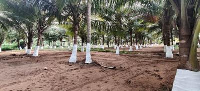 Image of 19552 Sq.ft Residential Plot / Land for sale in Pichanur, Coimbatore for Rs. 6732782