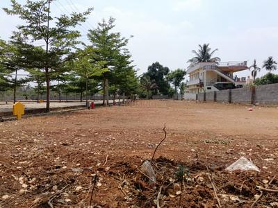 Thyme Park Plot View 1