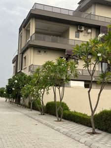 Residential Plot