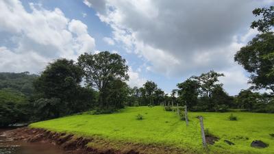 Image of 80000 Sq.ft Residential Plot / Land for sale in MV Mango Lakefront Tapola Phase 1, Ahire, Satara for Rs. 25000000