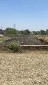 Para Plot View 1