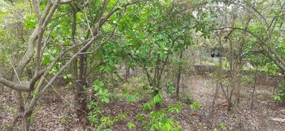 Image of 642 Sq.ft Residential Plot / Land for sale in Carambolim, Goa for Rs. 22470000