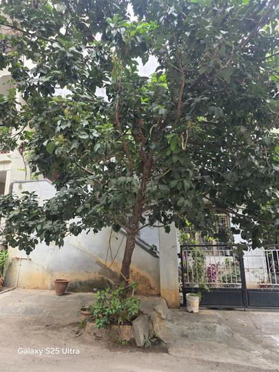 Rajajinagar Main Image 1